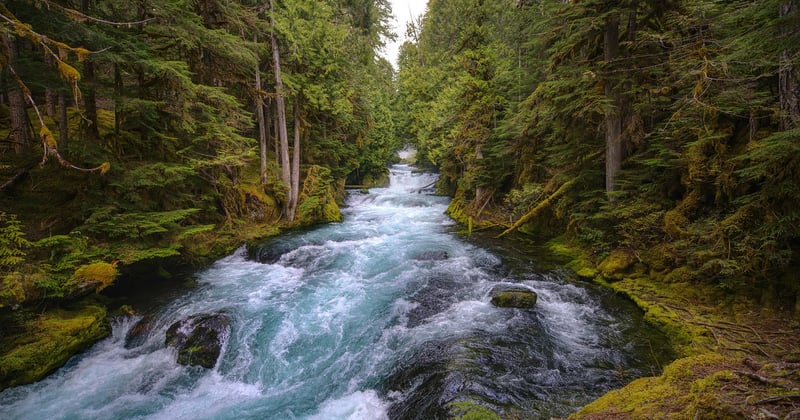 Initiation au kayak en rivière : le guide complet pour bien débuter