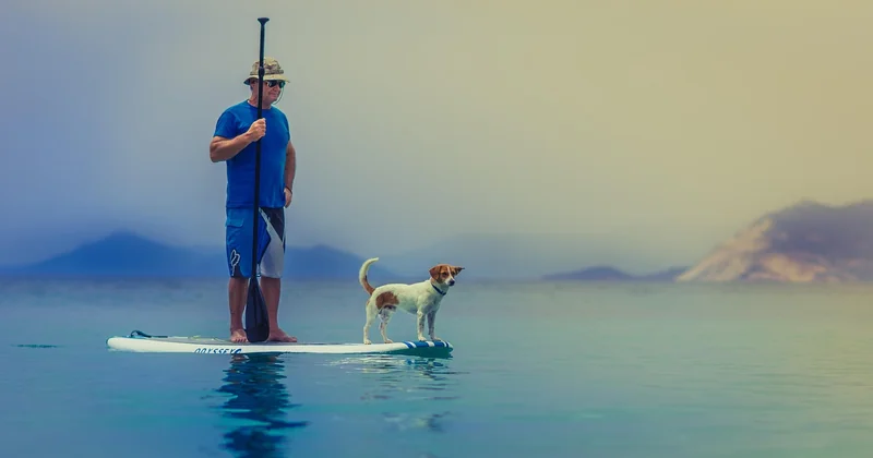 Les meilleurs spots pour faire du paddle en famille en Alsace