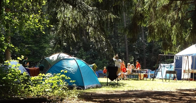 Où bivouaquer en famille dans les Vosges du Nord : 7 spots testés et approuvés