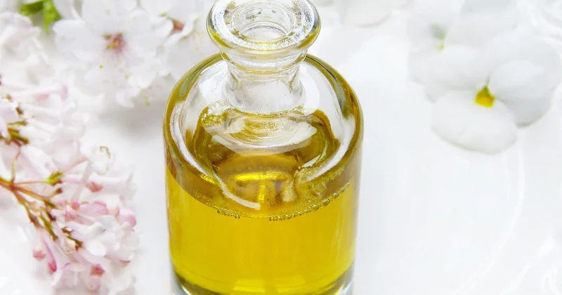 Spa et nature : comment les combiner vraiment